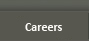 Careers